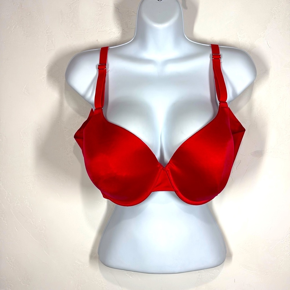 Secret Treasures red bra size 40D